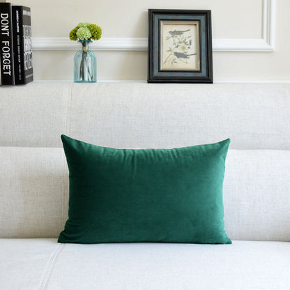 Velvet Throw Pillow for Sofa Decor