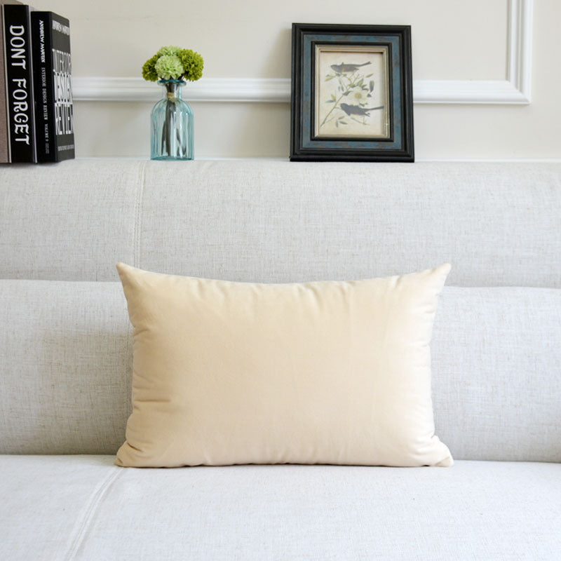 Velvet Throw Pillow for Sofa Decor