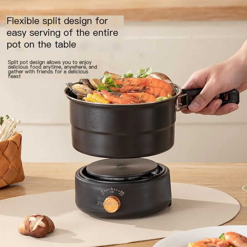 Portable Multi-Function Electric Hot Pot 220V/110V