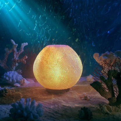 Coral Lamp