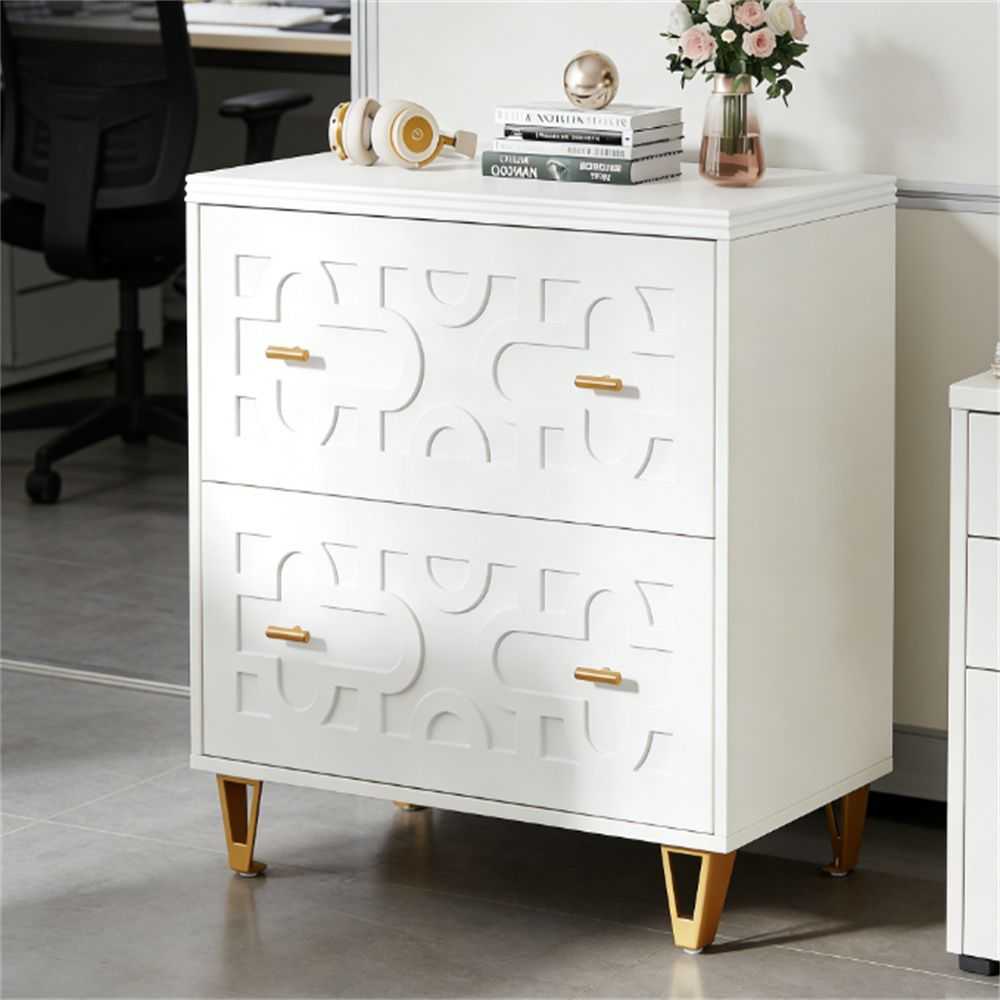 File cabinet with two drawers, storage cabinet, file printer rack, and large storage space - luxuryhomedecoridea.com