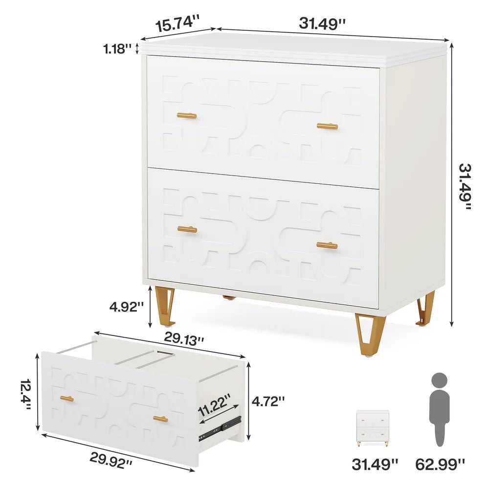 File cabinet with two drawers, storage cabinet, file printer rack, and large storage space - luxuryhomedecoridea.com