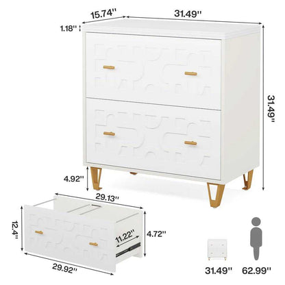 File cabinet with two drawers, storage cabinet, file printer rack, and large storage space - luxuryhomedecoridea.com