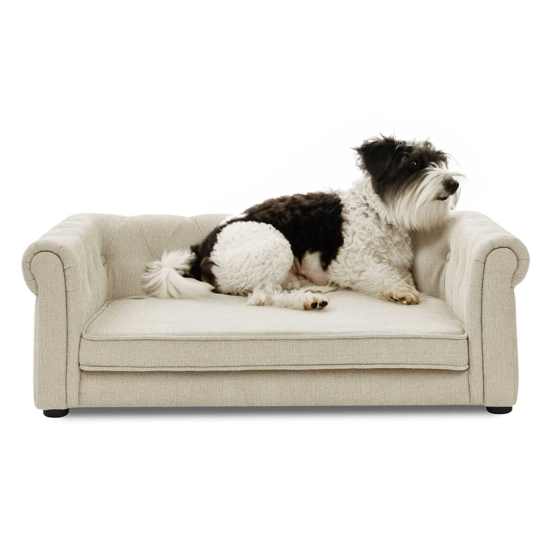 Elegant Rectangle Pet Bed for Medium and Large Dogs, Durable Elevated Dog Sofa Bed, Comfortable Dog Couch, Modern and Stylish Dog Sofa for Large Dogs,Beige - luxuryhomedecoridea.com