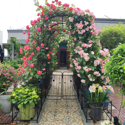 Elegant Metal Garden Arch with Dual Plant Stands - 79.5'' Wide x 86.6'' High Climbing Support for Roses & Vines - Outdoor Black Trellis Decoration - luxuryhomedecoridea.com
