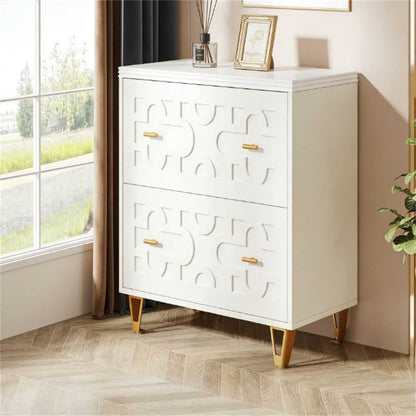 File cabinet with two drawers, storage cabinet, file printer rack, and large storage space - luxuryhomedecoridea.com