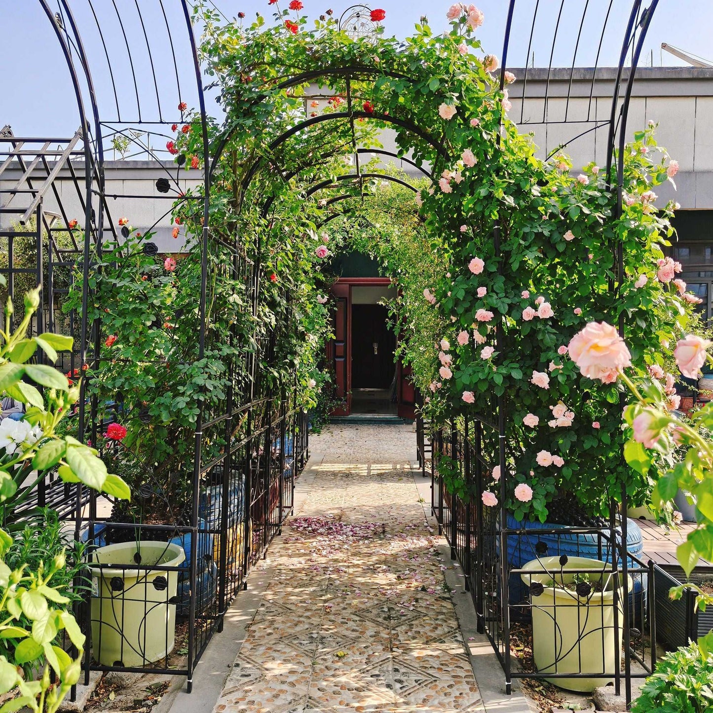 Elegant Metal Garden Arch with Dual Plant Stands - 79.5'' Wide x 86.6'' High Climbing Support for Roses & Vines - Outdoor Black Trellis Decoration - luxuryhomedecoridea.com
