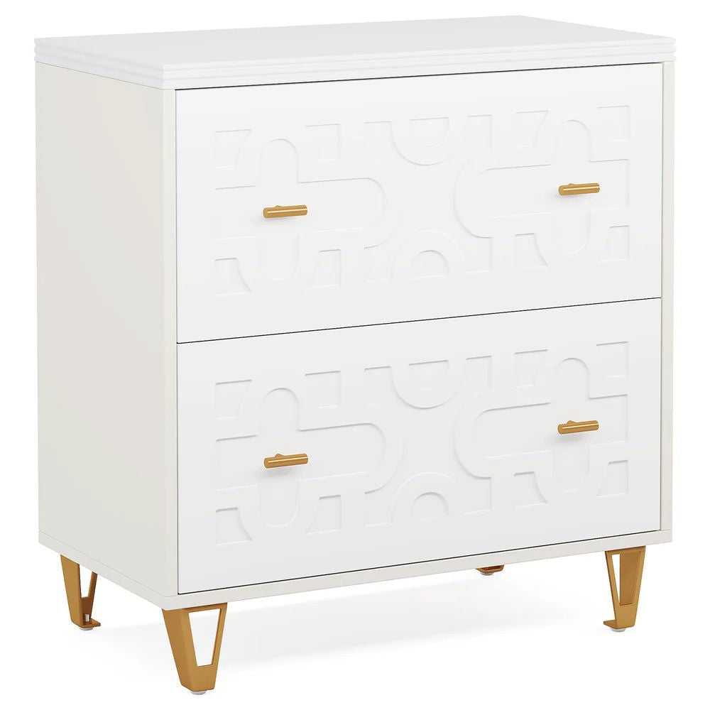 File cabinet with two drawers, storage cabinet, file printer rack, and large storage space - luxuryhomedecoridea.com
