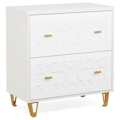 File cabinet with two drawers, storage cabinet, file printer rack, and large storage space - luxuryhomedecoridea.com