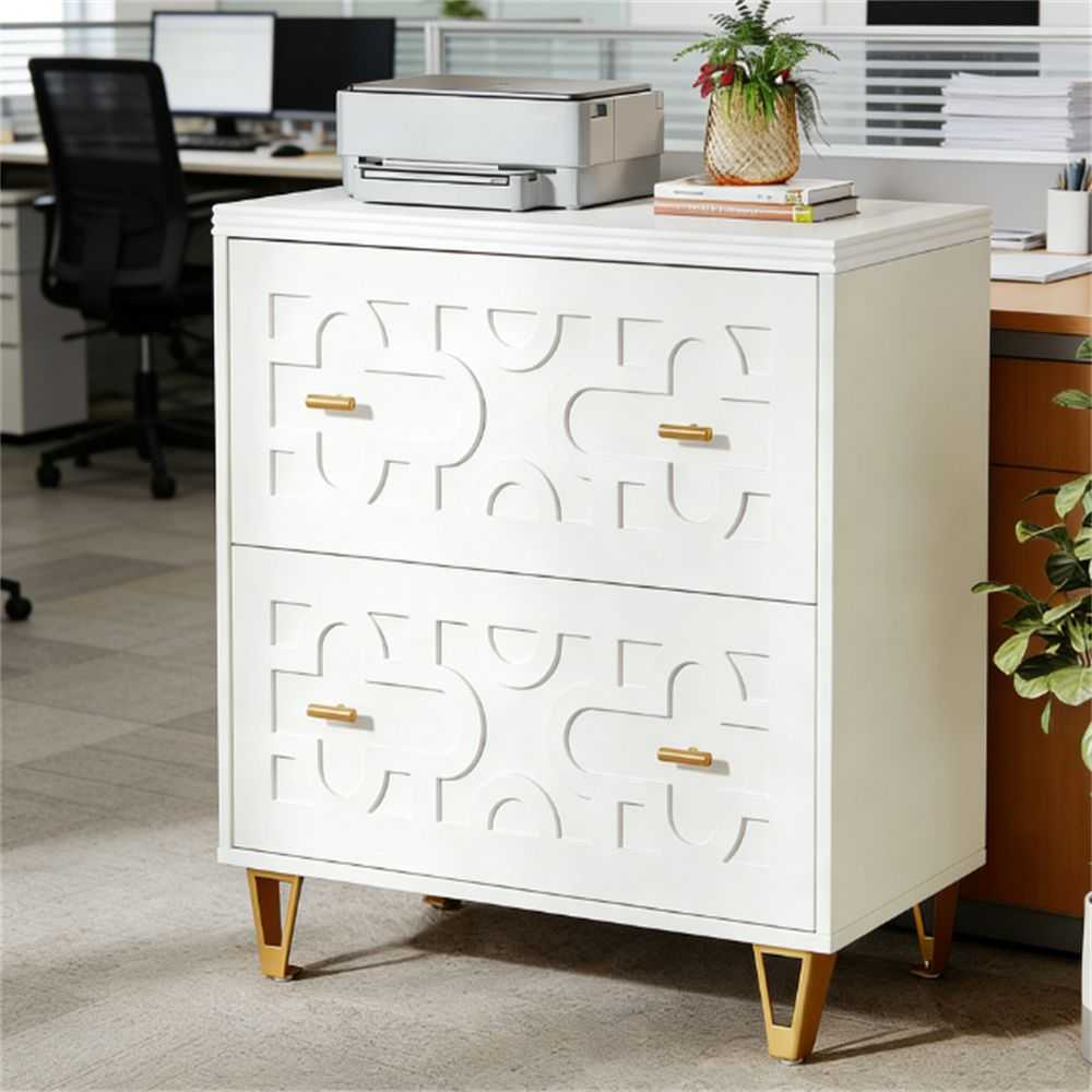 File cabinet with two drawers, storage cabinet, file printer rack, and large storage space - luxuryhomedecoridea.com