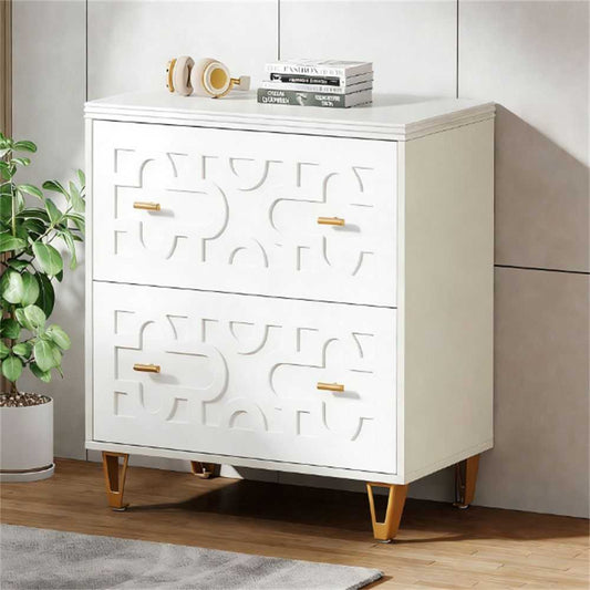 File cabinet with two drawers, storage cabinet, file printer rack, and large storage space - luxuryhomedecoridea.com