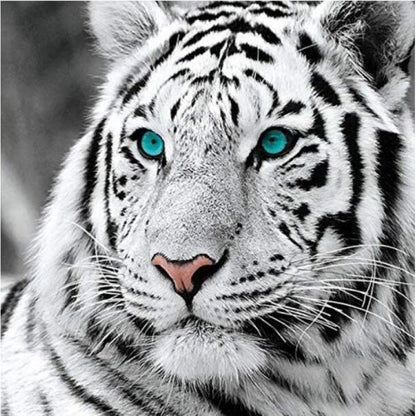 5D DIY Diamond Painting "White Tiger" Home Decor
